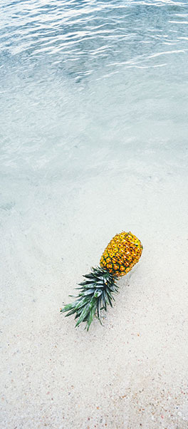 Plan B Designer — Evening